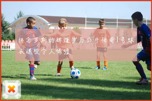 怀念罗斯的辉煌岁月公牛传奇1号球衣退役令人唏嘘